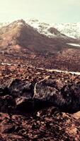 Winter view in the Massive Eilat Nature Reserve video