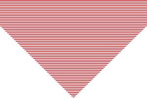 simple abstract red color pattern vector
