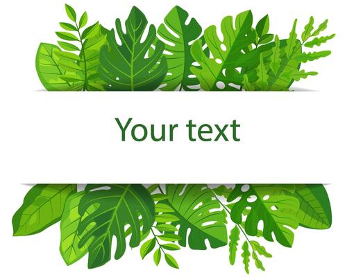 features a vibrant green leaves frame surrounding a blank white rectangular space perfect for mockups or copy space. lush foliage adds a touch of nature and freshness to any design