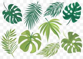 features eight different types of green leaves, each with distinct shapes and vein patterns. diverse foliage showcases various botanical designs, ideal for nature-related graphics and design projects vector
