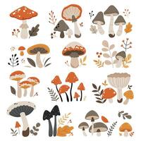 A set of autumn mushrooms.Forest wild mushrooms types.Poisonous and edible mushroom, chanterelle, cep, amanita and truffle isolated illustration set. vector