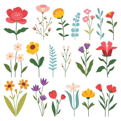 Collection of floral and botanical elements . Set of leaf, foliage wildflowers, plants, bloom, leaves and herb. Hand drawn of blossom spring season for decor, website, graphic and shop.