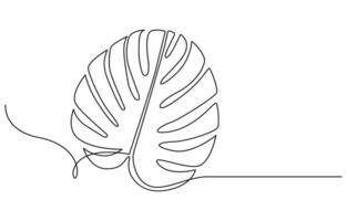 Monstera leaf one continuous line art. Nature plant minimalism design hand drawn isolated on white background vector
