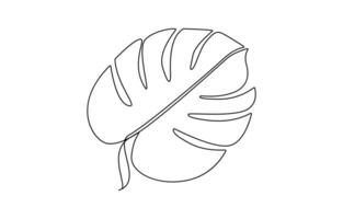 Monstera leaf one continuous line art. Nature plant minimalism design hand drawn isolated on white background vector