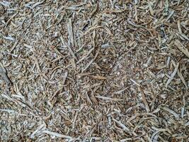 wood powder that is shaved by a machine photo
