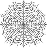 Detailed intricate circular cobweb with a large black spider in the center vector