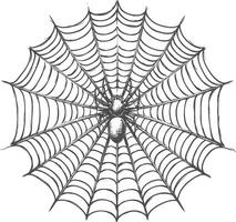 Spider sits in the center of its delicate and symmetrical web vector