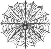 Detailed sketch of a spider sitting in the center of its web vector
