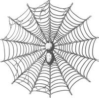 Detailed intricate hand drawn spider sitting in the center of its web vector