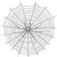 Detailed sketch of a spider sitting in the center of its web vector