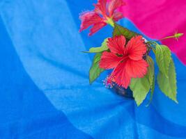 Top view of red hibiscus flower in a vase placed on the table. Space for text photo