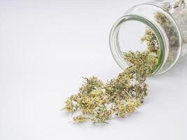 Cannabis buds pouring out of a container jar glass with a magnifying glass on wooden table background. The texture of marijuana leaves. Space for text. Concept of cannabis plantation for medical photo