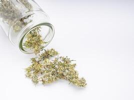 Pouring the cannabis buds out of a container jar glass on white background. The texture of cannabis leaves. Close-up photo with copy space for text. Concept of cannabis plantation for medical
