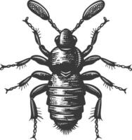 Detailed drawing of a tiny parasitic wasp in black and white vector