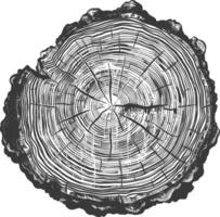 Detailed Cross Section of a Tree Trunk with Visible Growth Rings vector