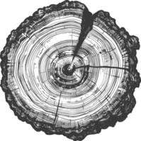 Detailed cross section of a tree trunk with growth rings vector