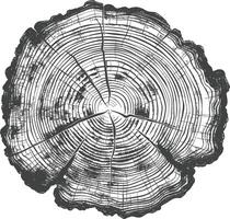 Detailed cross section of a tree trunk showing growth rings vector