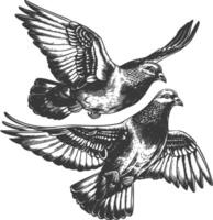 Detailed Hand-Drawn Sketch of Two Doves in Flight vector