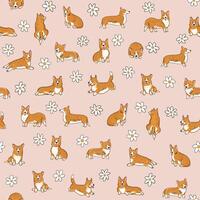 Corgi dog collection illustrations seamless pattern. vector