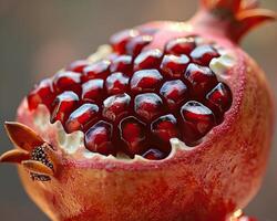 Close-up of a fresh pomegranate with juicy red seeds exposed, showcasing vibrant color and texture. photo