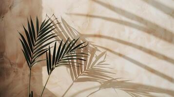 Palm leaves casting shadows on a wall, creating a tropical and natural ambiance. Ideal for backgrounds and decor. photo
