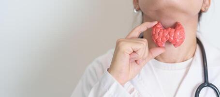 Doctor with human Thyroid anatomy model. Hyperthyroidism, Hypothyroidism, Hashimoto Thyroiditis, Thyroid Tumor and Cancer, Postpartum, Papillary Carcinoma and Health concept photo