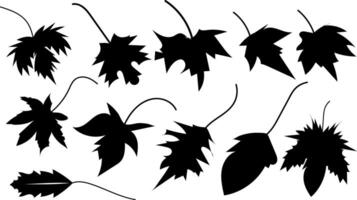 Autumn Leaves collection silhouette trendy design vector