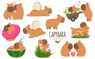Collection of happy Capybaras, capybara characters in cartoon flat style vector