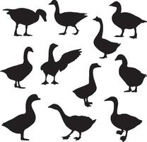 a set of silhouettes of various ducks vector