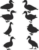 a set of silhouettes of ducks on a white background vector