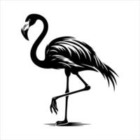 Flamingo silhouette. flat flamingo silhouette isolated on a white background. Flamingo icon design. Flamingo symbol illustration vector