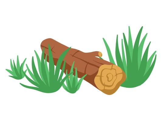 Bonfire Wood and Grass Element Illustration