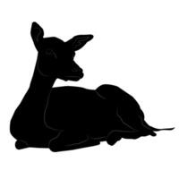 Black and white silhouette of a lying deer on a white background vector