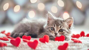 Valentines day cute kitten and hearts photo