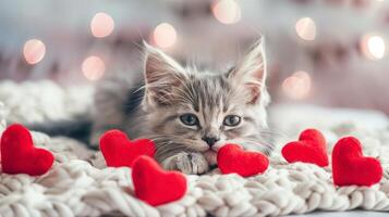 Valentines day cute kitten and hearts photo