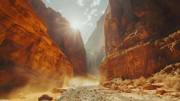 Majestic Desert Canyon Illuminated by Bright Sunlight photo