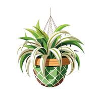 Realistic hand-drawn versatile potted houseplant vector
