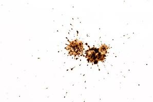 Coffee drops splashes with a brown color texture isolated on a white background photo