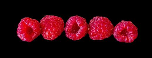 set of raspberry in line, isolated on black background. photo