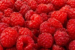 Ripe raspberries. Berries.Scarlet. Raspberry background. Raspberry surface photo