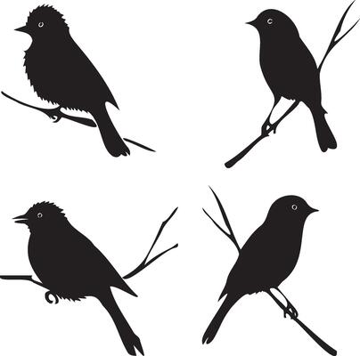 Black silhouette birds