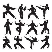 Silhouette of people isolated on white background. Wushu, kung fu, Taekwondo, Aikido. Sports positions. Design elements and icons. illustration. Set vector