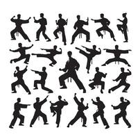 Silhouette of people isolated on white background. Wushu, kung fu, Taekwondo, Aikido. Sports positions. Design elements and icons. illustration. Set vector