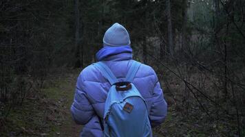 Rear view of a woman tourist in a lilac jacket walking through a spruce forest in spring slow motion video
