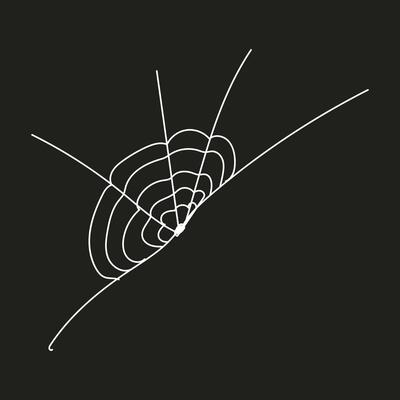 Spider web element