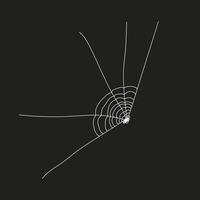 Spider web element vector
