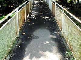 the shadow of a shady tree over a bridge in a city park. The view of the bridge leads to a point in the middle photo