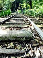 railway that leads into a forest. Old railway curve. Mass transportation concept background photo
