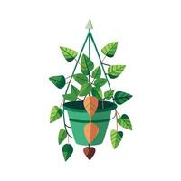 Realistic hand-drawn versatile potted houseplant vector