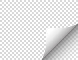 Paper with a curled edge. illustration. vector
